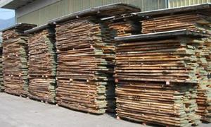 essiccazione legname