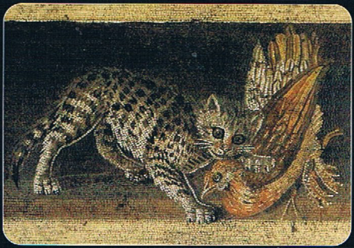 gatto nell'antica roma